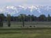 wyoming-bison-tetons